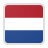 NED flag